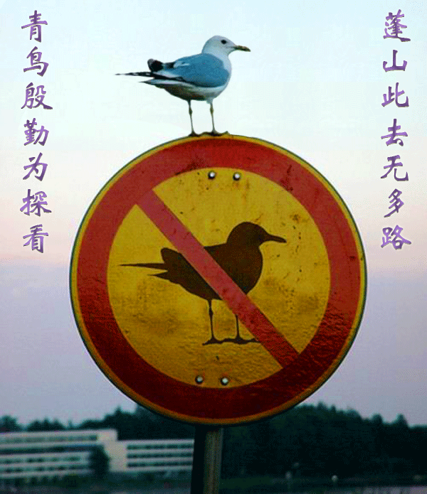 ͼƬ´ڴ򿪲鿴
