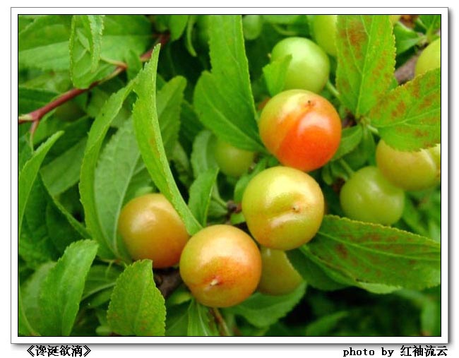 <em>东方热线</em> 搞笑图片